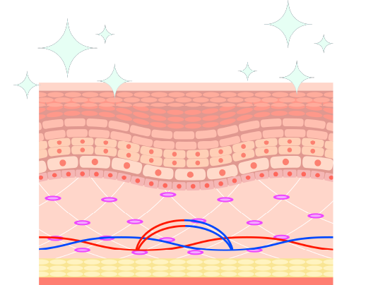 イラスト：水光注射施術（イメージ）
